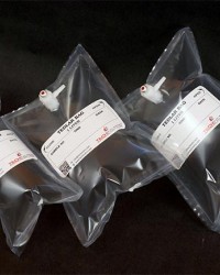 GAS SAMPLING BAG || TEDLAR BAG , TEDLAR BAGS 0.5 LITER, GAS BAG 0.5 LITER, HARGA