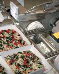 FUCHS FOOD GRADE GEAR OIL