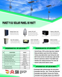 paket PJU solar panel 80 watt LED