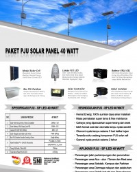 Paket PJU Solar Panel 40 Watt LED