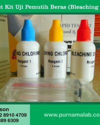 Bleaching Chlorine Test Kit Palangkaraya