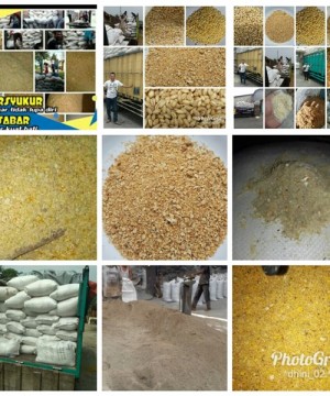 Suplier Pakan Ternak Alternatif