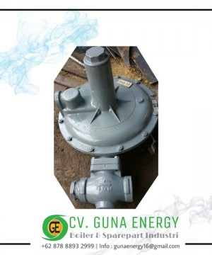 Regulator Gas Sensus Valve 243-12