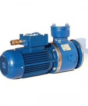Explosion Proof Motor