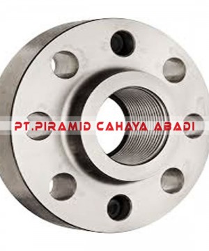 Threaded Flange Stainless