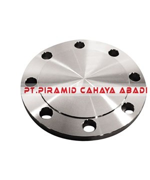 Blind Flange Stainless