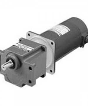 AC Motors SMS Motor