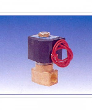 Multilex 2port Valve (Direct Acting)