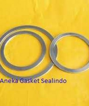 Basic Ring-SPW Gasket
