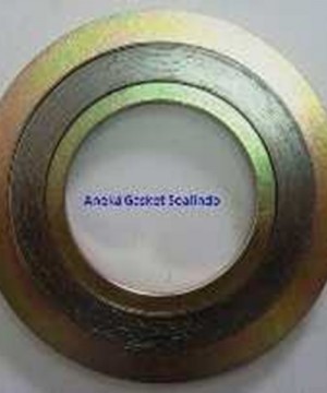 SPIRAL WOUND GASKET-Inner-outer Ring-Inner Outer Ring