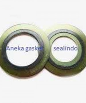 SPW Gasket Inner Outer Ring