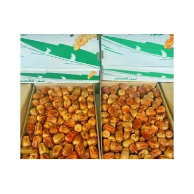 JASA IMPORT BUAH KURMA PT. HIMA HITU INDONESIA