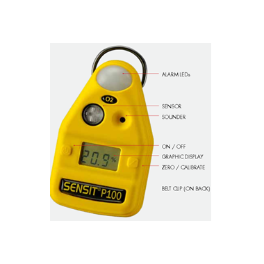 Portable Single Gas Detector  - P100