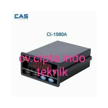INDIKATOR CAS - CI 1580 A + - Analog Output