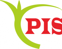 PANDANWANGI INDO SELARAS frieght forwarder and sewa undername import