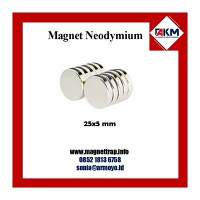 magnet neodymium koin 25x5 mm