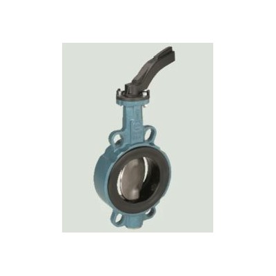 Butterfly Valve EBRO DN 20 PT. Central Automatic System