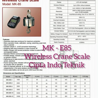 Timbangan Gantung 30 Ton x 10 Kg MK Cells MK E85 - Wirelles Crane Scale