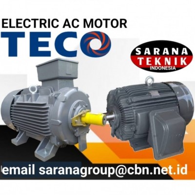 Jual TECO ELECTRIC MOTOR  SELL ELECTRIC TECO MOTOR TYPE AEEB 50 HZ B3 B5 FOOT MOUNTED & FLANGE