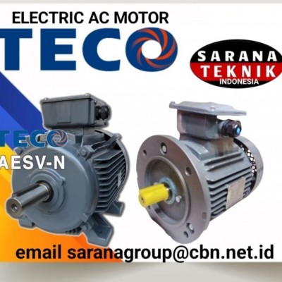 Jual TECO ELECTRIC MOTOR SELL ELECTRIC TECO MOTOR TYPE AEEB 50 HZ FOOT MOUNTED