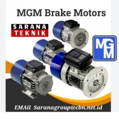 Distributor MGM Brake Electric Motor Indonesia