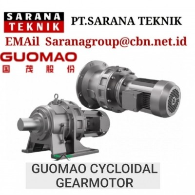 Guomao Cycloidal Gear Motor