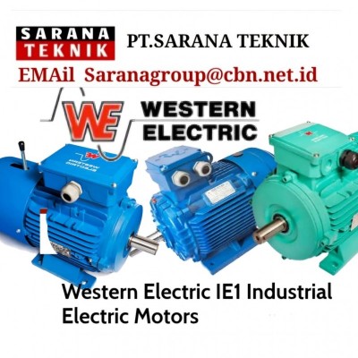 WESTERN INDUSTRIAL ELECTRIC MOTOR IE1 INDONESIA