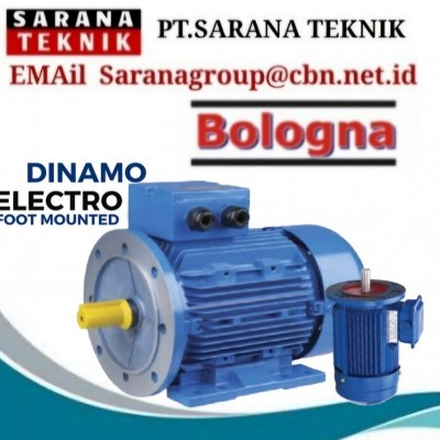 Bologna Induction Electric Motor Supplier Indonesia