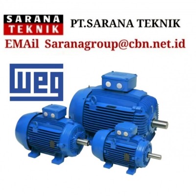 WEG Induction Electric Motor Supplier Indonesia