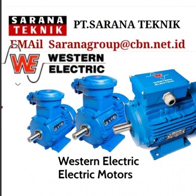 Western Induction Electric Motor Supplier Indonesia