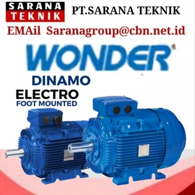 Wonder Induction Electric Motor Supplier Indonesia