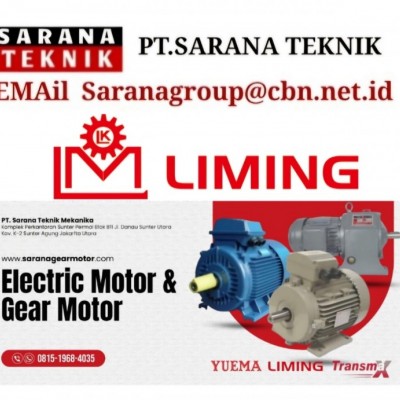 Liming Induction Electric Motor Supplier Indonesia
