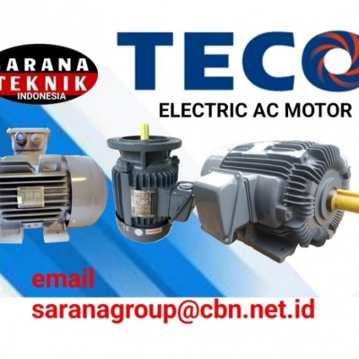 Teco Induction Electric Motor Supplier Indonesia