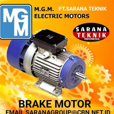 MGM Induction Electric Motor Brake Supplier Indonesia