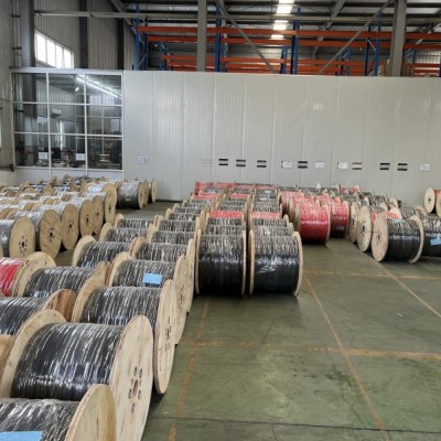 jasa import singapure- jakarta