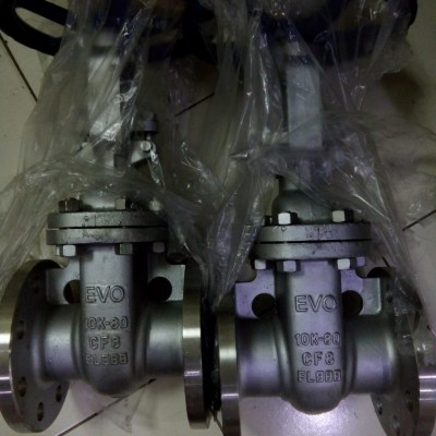 Gate Valve Body CF8 Flange Jis 10K