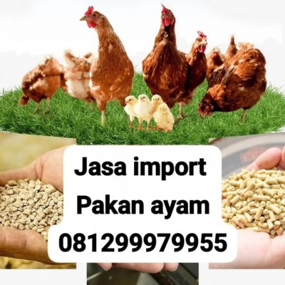 JASA IMPORT PAKAN HEWAN 081299979955