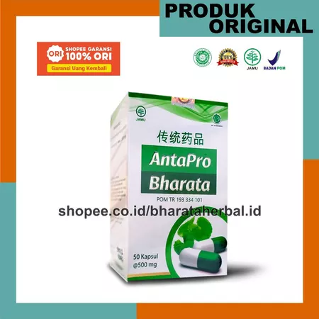 Antapro Bharata Obat Stroke Herbal Premium Paling Ampuh Obat Stroke Ringan Berat Kolesterol Darah Tinggi 100% Original Bergaransi Sobat Herbal Official