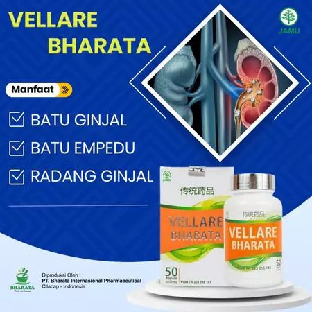 Vellare Bharata Obat Batu Empedu Batu Ginjal Kencing Batu Tanpa Operasi Paling Ampuh 100% Original Sobat Herbal Official