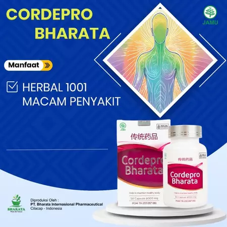 Obat Liver Obat Hepatitis ABCDE Obat Sirosis Hati & Menurunkan Hbsag LIBAVER BHARATA Original Sobat Herbal Official