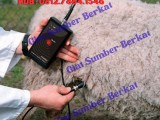DRAMINSKI Ultrasonic Pregnancy Detector for sheep and goats