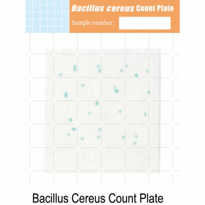 Test Kit Bacillus Cereus | Alat Uji Bakteri Bacillus Cereus pada Makanan