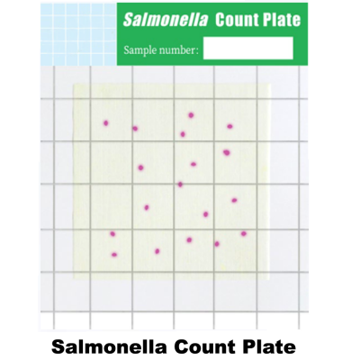 Test Kit Salmonella | Alat Uji Bkateri Salmonella pada makanan