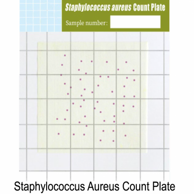 Test Kit Staphylococcus Aureus | Alat Uji pemeriksaan Bakteri Staphylococcu Aureus pada Makanan