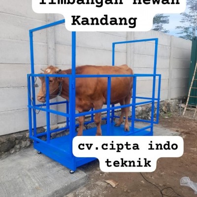 JUAL TIMBANGAN SAPI MODEL KANDANG CIPTA INDO TEKNIK