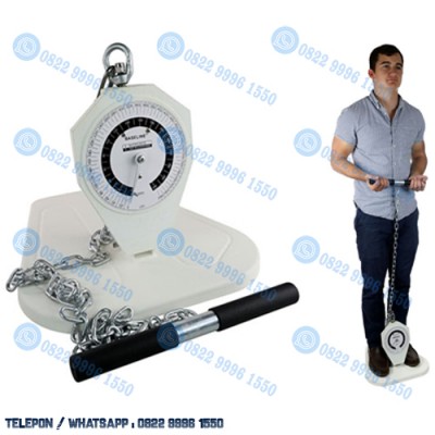 Back Leg Dynamometer 330 lb / 150 kg | Baseline® Back-Leg-Chest Dynamometer 330 lb / 150 kg
