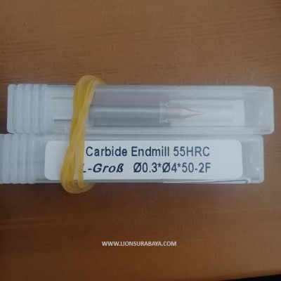 Carbide Endmill 55HRC D0.3 L50